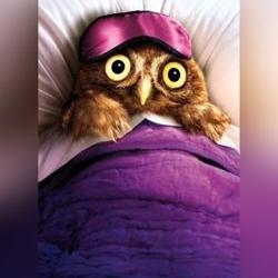 Crazy Night Owls Clubhouse