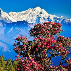 lovely Nepal Clubhouse