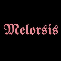 MELORSIS Clubhouse